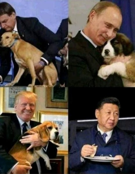 17.jpg.4d7035f394358a35ec60d24e5dc6d43e.jpg
