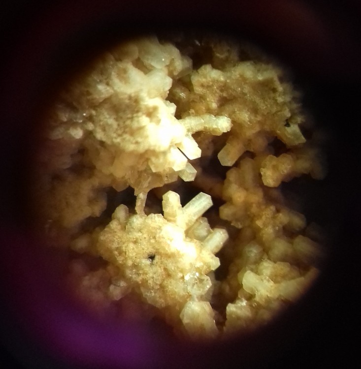 20200906_115417.thumb.jpg.5c80677c5ec35094e6587ee51c6a7fc5.jpg