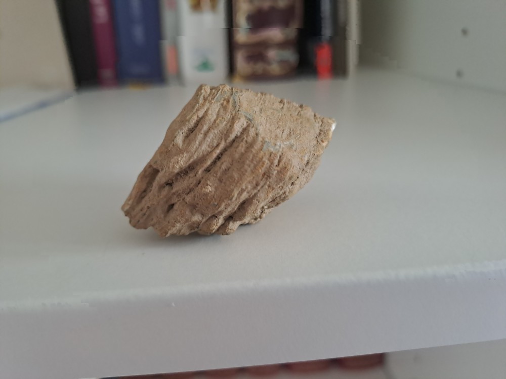 20260516_201504.jpg