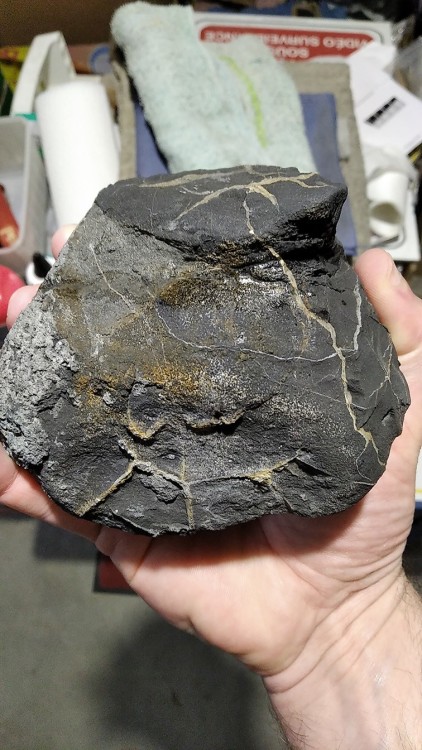 5b.jpg