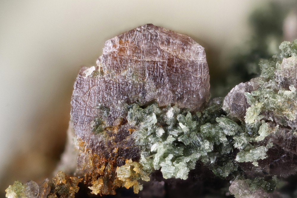 Actinote sur axinite pic d'Izes FOV 11 mm 0.jpg