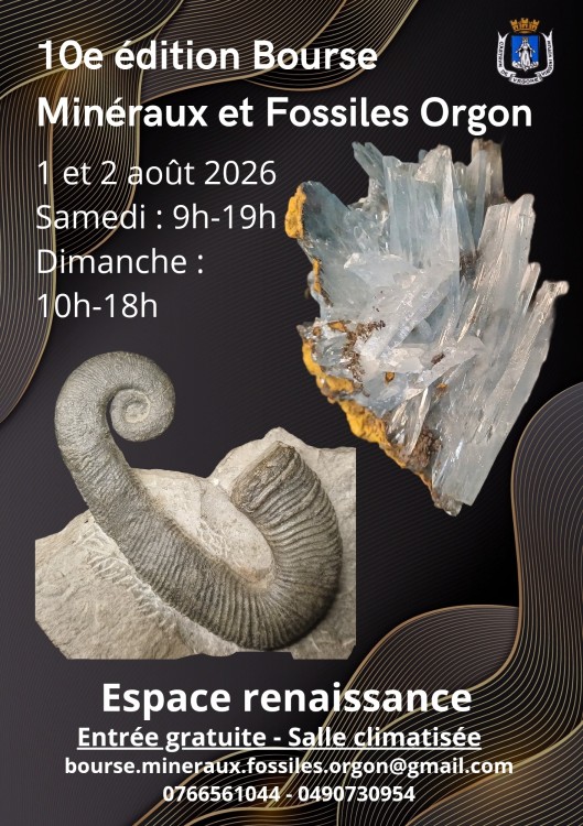 Copie de Bourse minéraux et fossiles Orgon_20260114_155317_0000.jpg