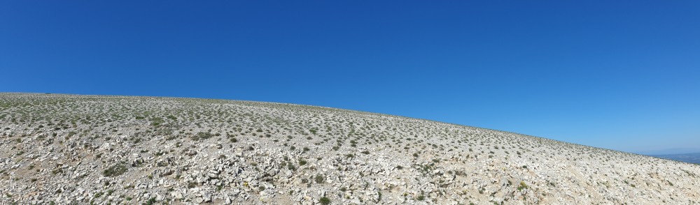 Geoforum 157.jpg