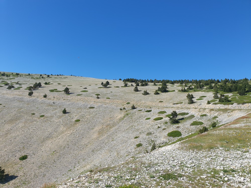 Geoforum 159.jpg
