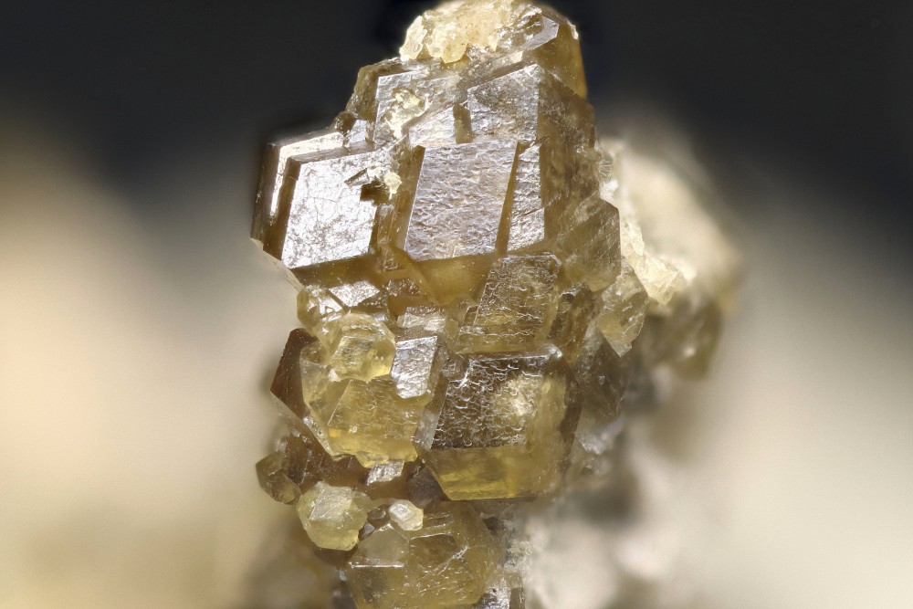 Grenat pic d'Izes FOV 10 mm 009.jpg