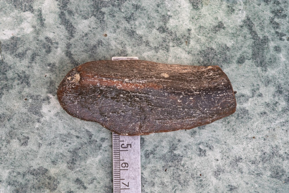 K1__8968.jpg