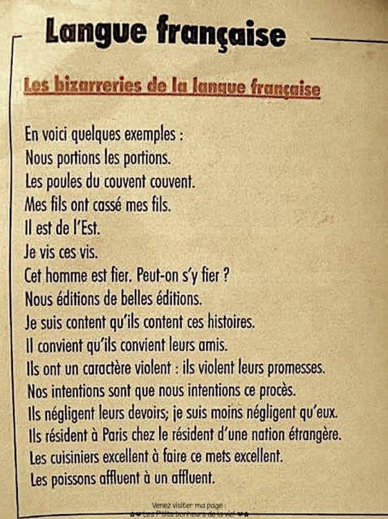 Langue_française.jpg