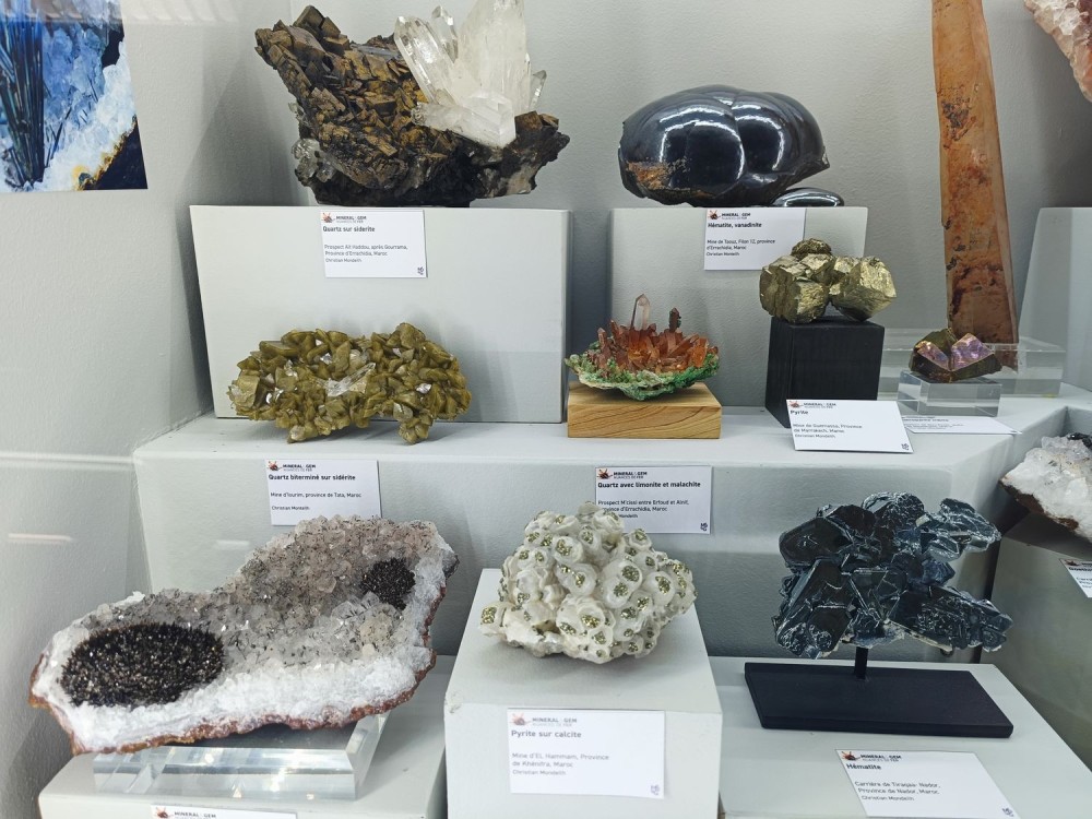 SMAMexpo1.thumb.jpg.c378a4183b86344fb4ef53f7fb06720a.jpg