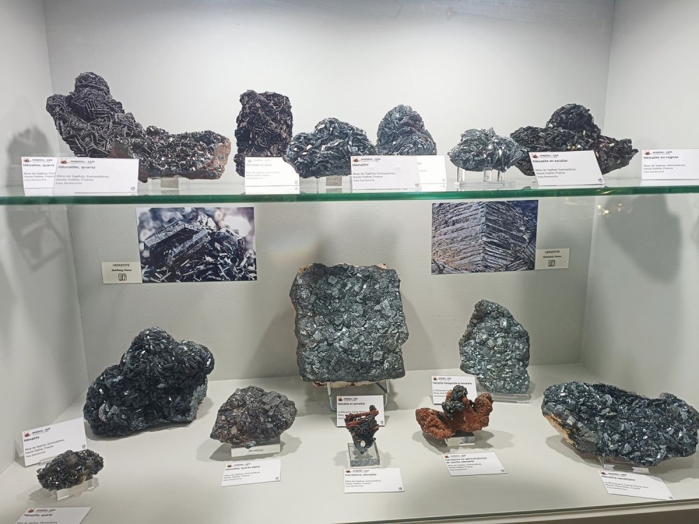 SMAMexpo2.thumb.jpg.7ef50dc4d69358b58775f465b72c6922.jpg