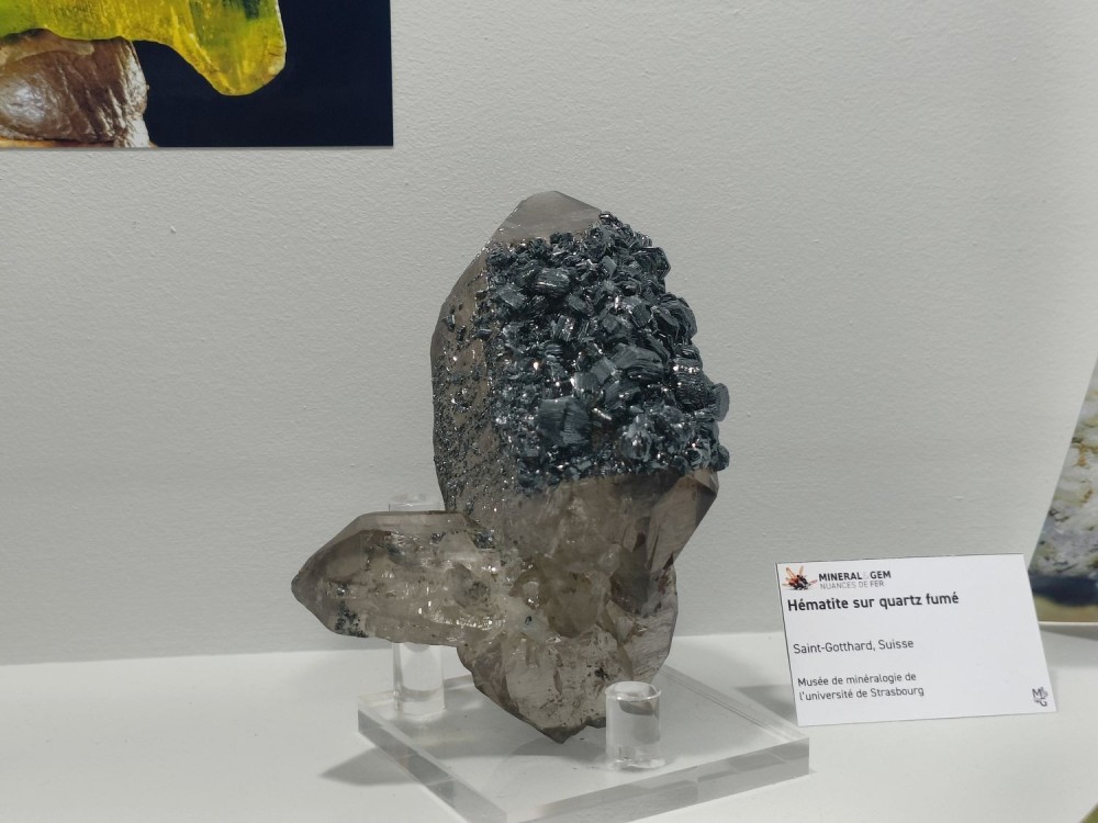 SMAMexpo3.thumb.jpg.07fe68699e3ea22f4fe6c40cb5f142c3.jpg