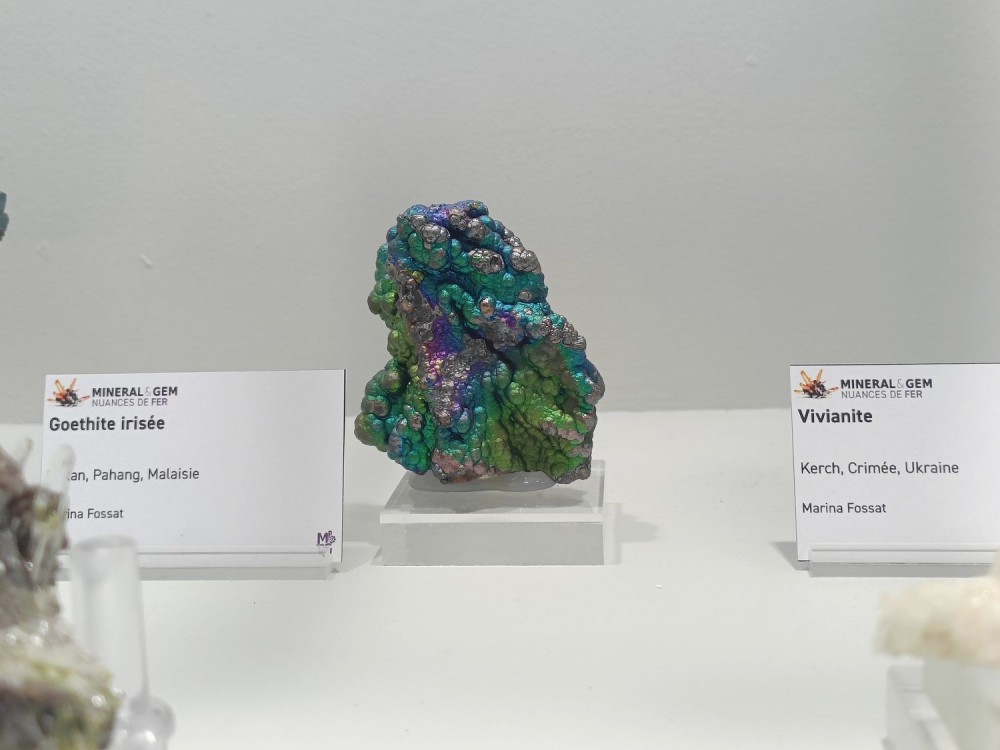 SMAMexpo4.thumb.jpg.0549be156284afdadfd54468e13bc899.jpg