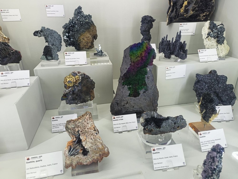 SMAMexpo6.thumb.jpg.b5f731e0d1c319124ba1214b436cf0d8.jpg