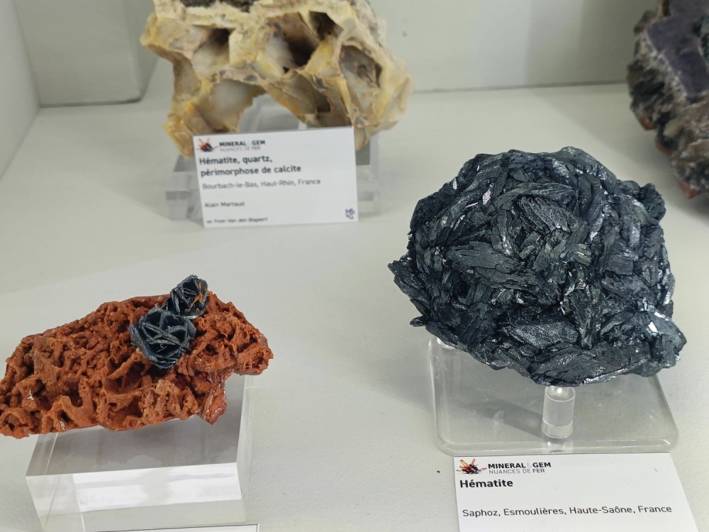 SMAMexpo7.thumb.jpg.3fabcf1441337b7448efda2e4d9bfd26.jpg