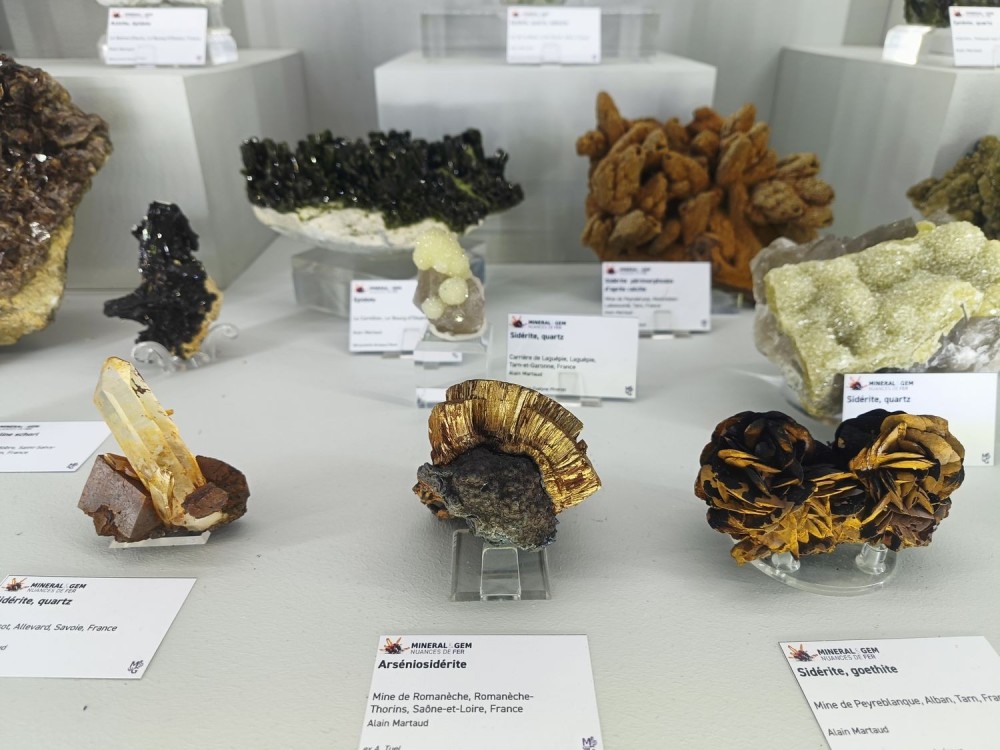 SMAMexpo8.thumb.jpg.cc8e71f07647fb06448980ff01f70381.jpg