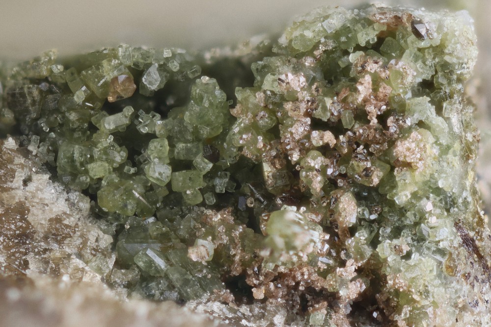 Titanite sur diopside Dets Coubous FOV 5 mm 001.jpg