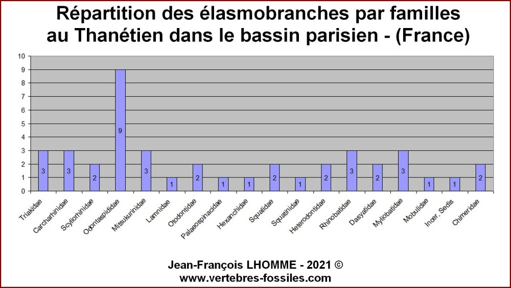 familles_elasmobranches_thanetien_bp.thumb.jpg.6c341e71e5214039724d416fec029e40.jpg