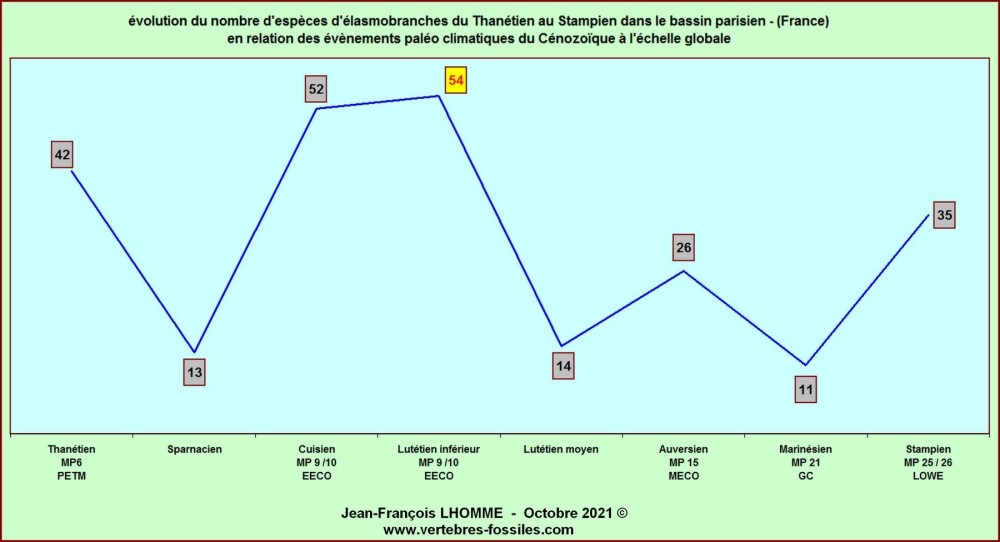 tableau_evolution_faunes_requins.thumb.jpg.27705489675c6c5a6510181812f4fccb.jpg