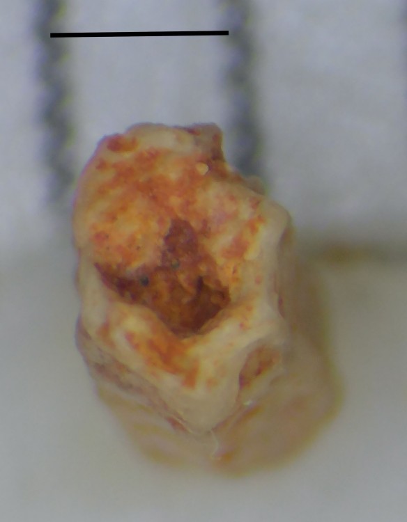 2022_0101_PF.JPG