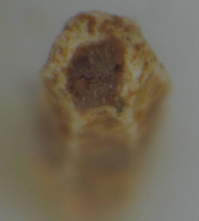 2022_010NB.JPG