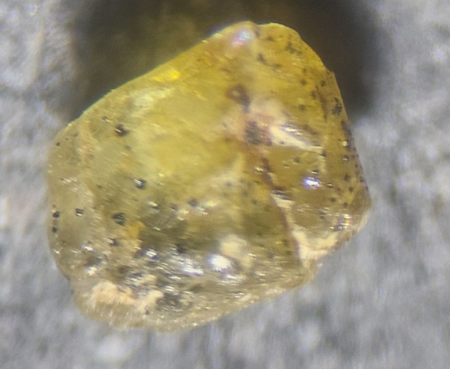 20260512_194022.jpg