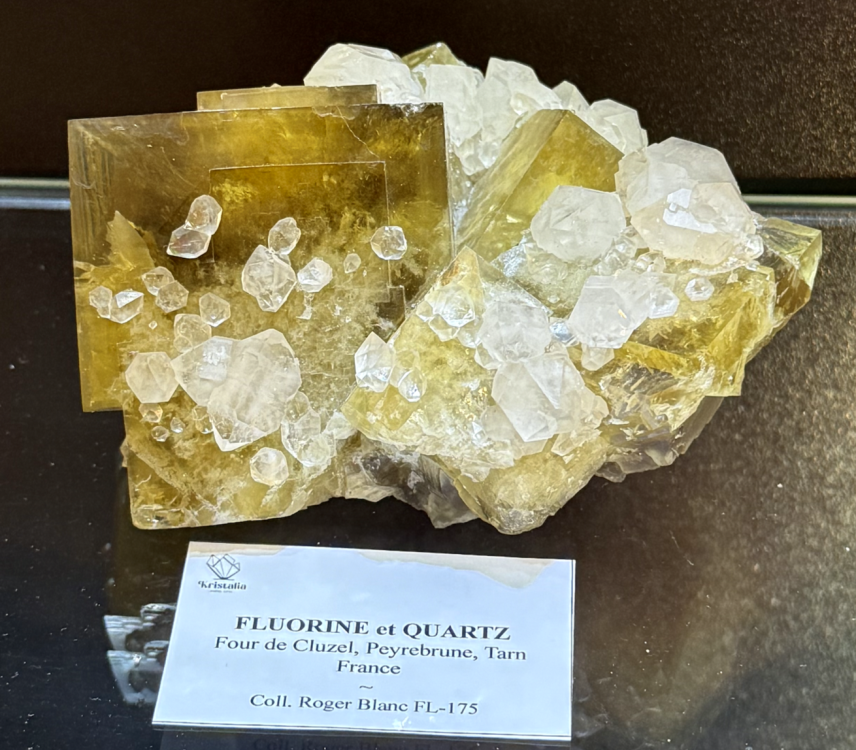 Capture d’écran 2026-07-25 à 13.12.27.png