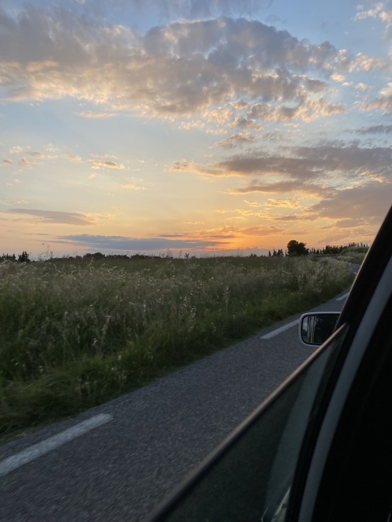 IMG_2549.thumb.jpeg.8b8957c169685f3ecbd76c77d0328694.jpeg