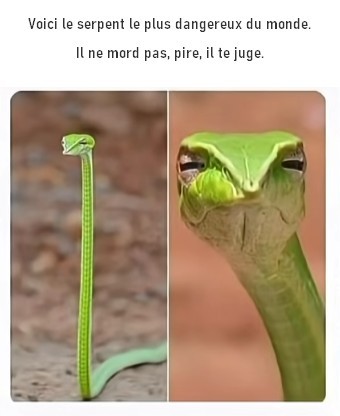 Juge.jpg.ebd63dcdabf18a46764bce99daf2c739.jpg