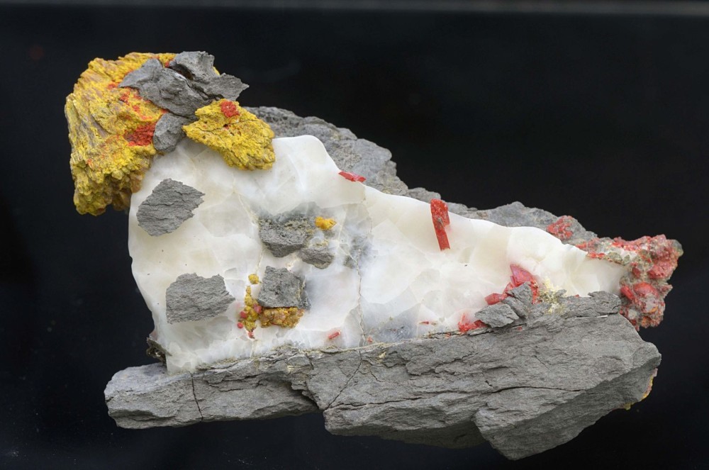 M381bOrpiment-L8cm-Nikkor105mm.thumb.jpg.caa7f2ce27e6a0bc06b9ce375396c01c.jpg