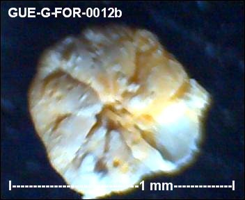 gue-g-57.jpg.99efef6d8919ac6493c16ecb4853906e.jpg