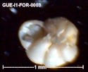 gue-i156.jpg.c8afbc62c30f1fbdd9d6d99f0bf5318d.jpg
