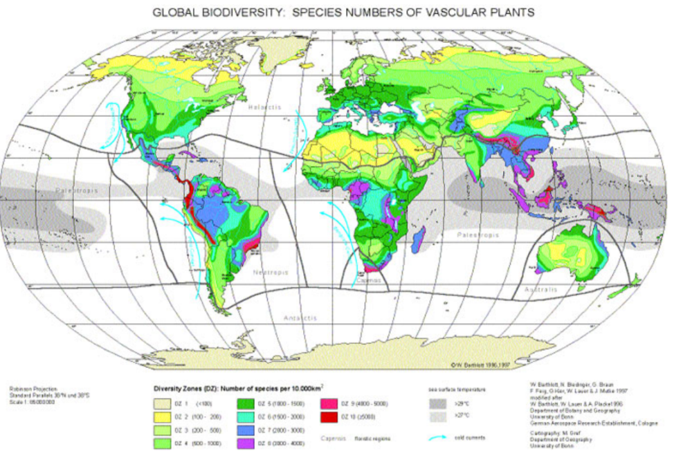 image.thumb.png.fd5e2219c81fb1a3559ccffe4a7d0428.png