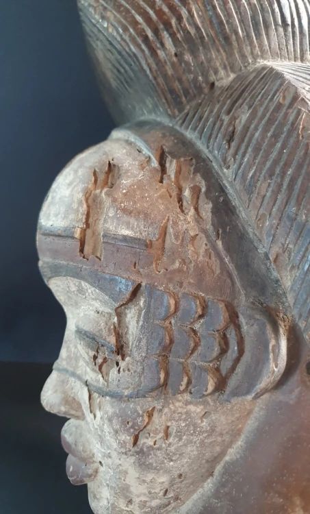 tsangi4.thumb.jpg.aa9f7162103dcae4c613e4d32ccc7220.jpg