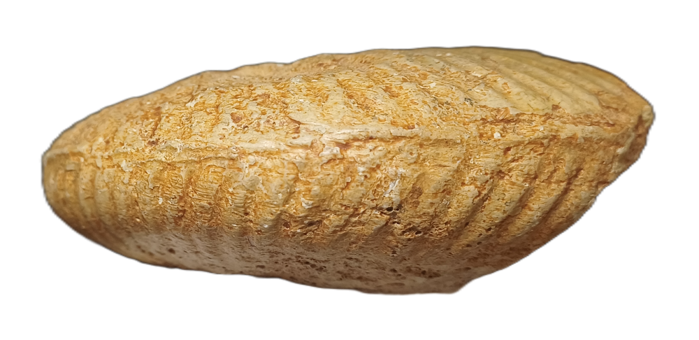 1787000867998.png