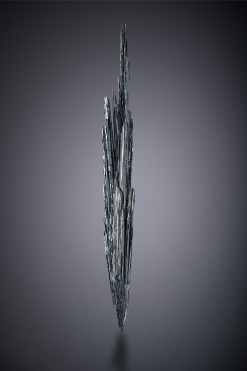 2026-02-0128.jpg