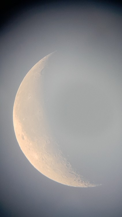 20260808_065150.jpg