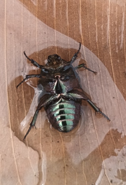 20260810_105756.jpg