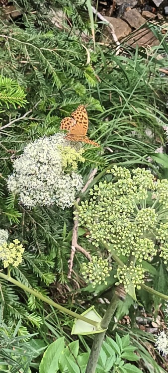 20260812_143233.jpg