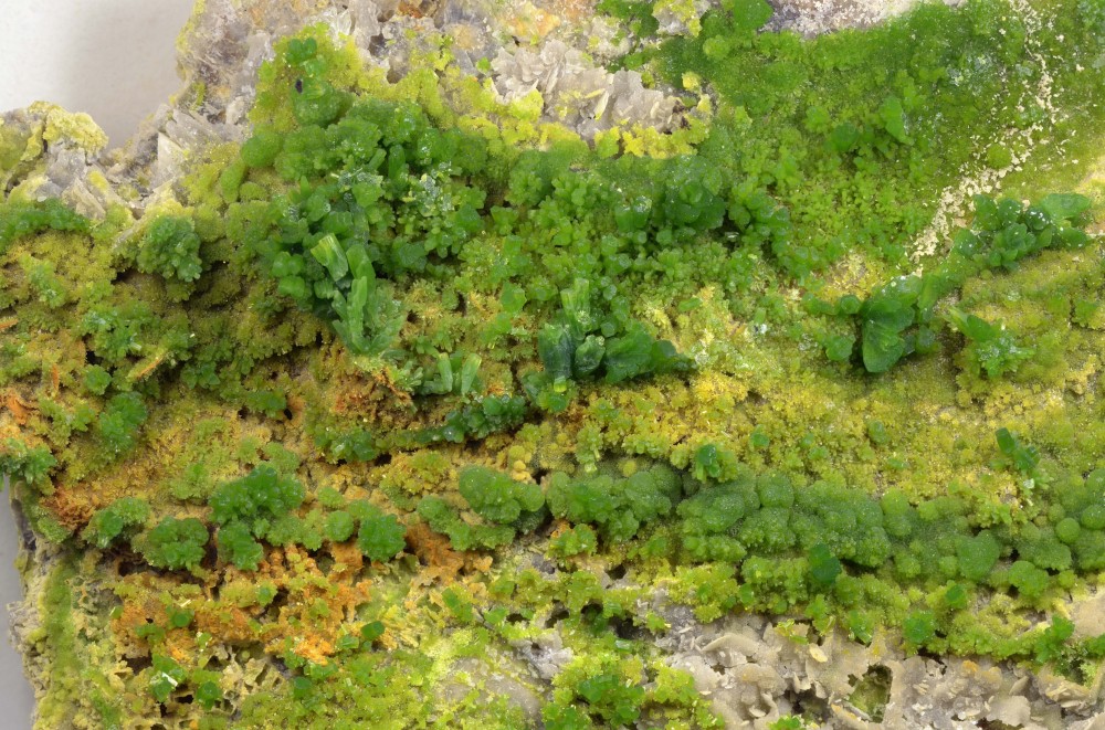 ArePyromorphite-L43mm-Nikkor105mm(8)-diff-CZP-D122710-I(10)-LPF(1000).thumb.jpg.3d7a5c8f6131a0d8a601f4785157f43a.jpg