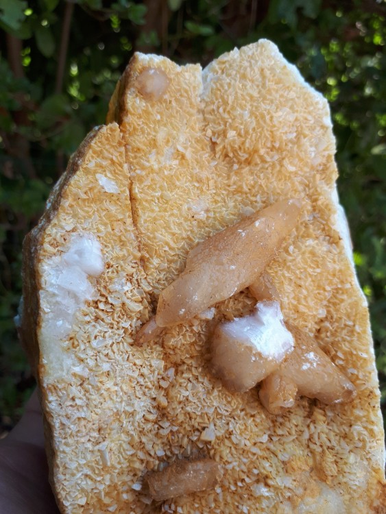 Calcite 26-07-2026 (8) .jpg