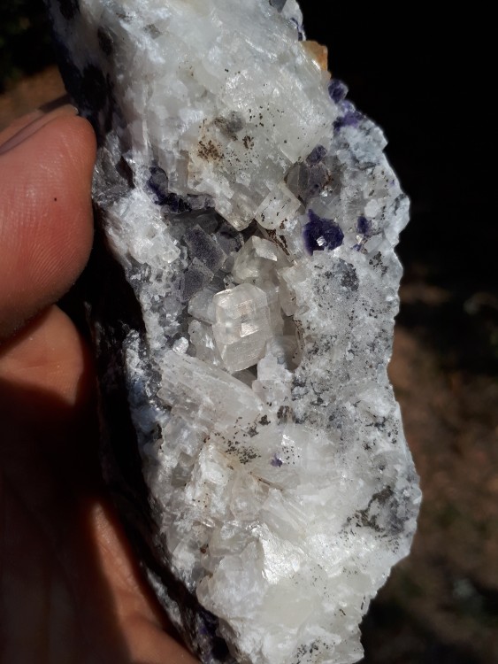 Calcite Erbray 2025 (4).jpg