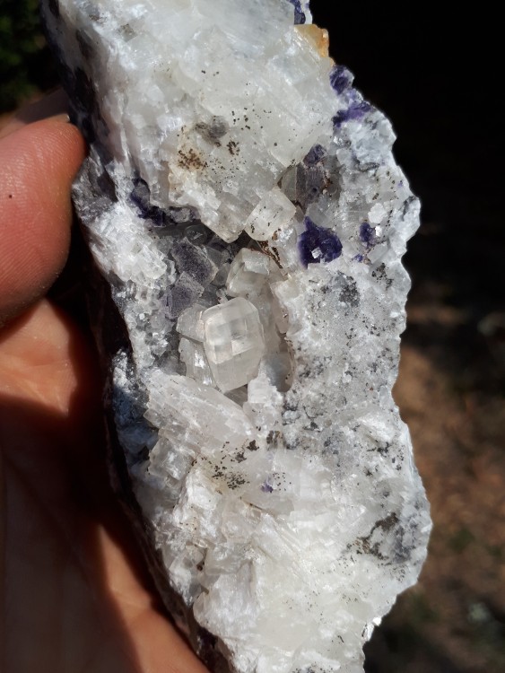 Calcite Erbray 2025 (5).jpg