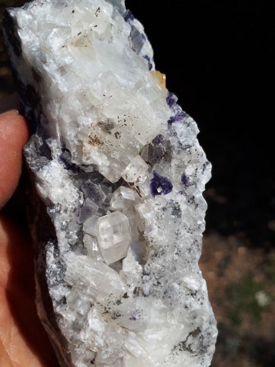 Calcite Erbray 2025 (6).jpg