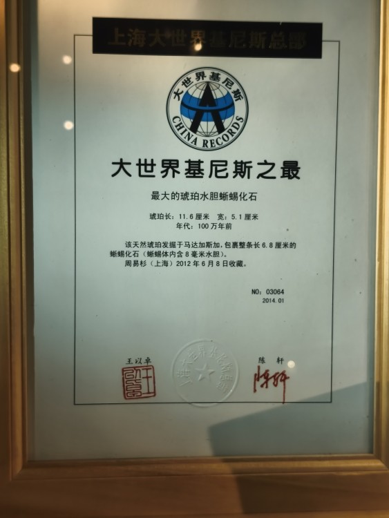 IMG_20260708_102845.jpg