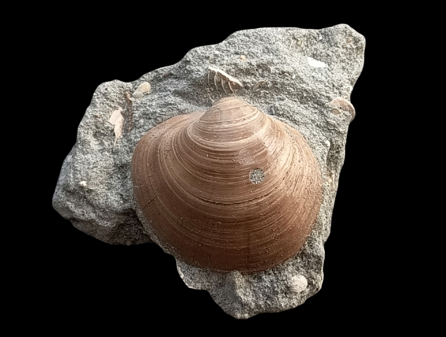 IMG_20260816_152007.png.9451a61ea622540c64acefe68b2f9754.png