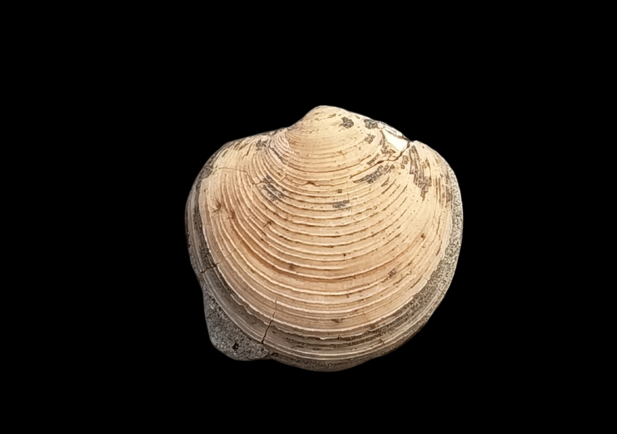IMG_20260816_152110.png.cb55f9b34a98f10858dd946f4a4cc1ec.png