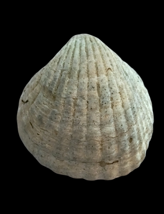 IMG_20260817_181208.thumb.png.6e38f93fee0c54ced86e33bac653550a.png
