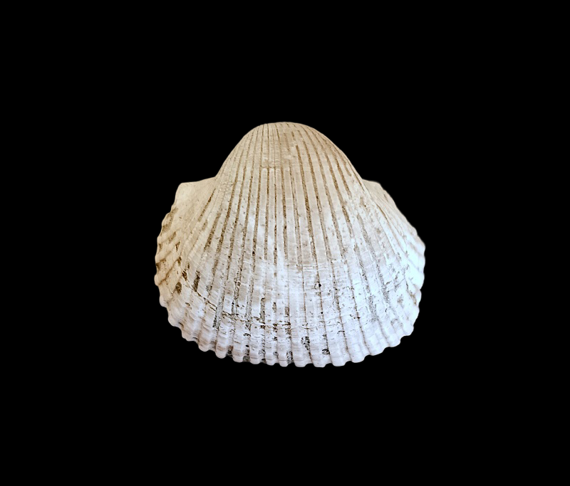 IMG_20260818_115719.png.a250019a593ef158df787156ac6bf35c.png