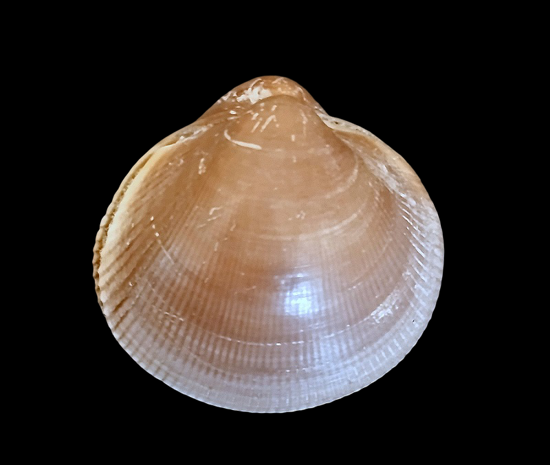 IMG_20260818_115749.png.379fa0722f984ea14a60d40ccab53352.png