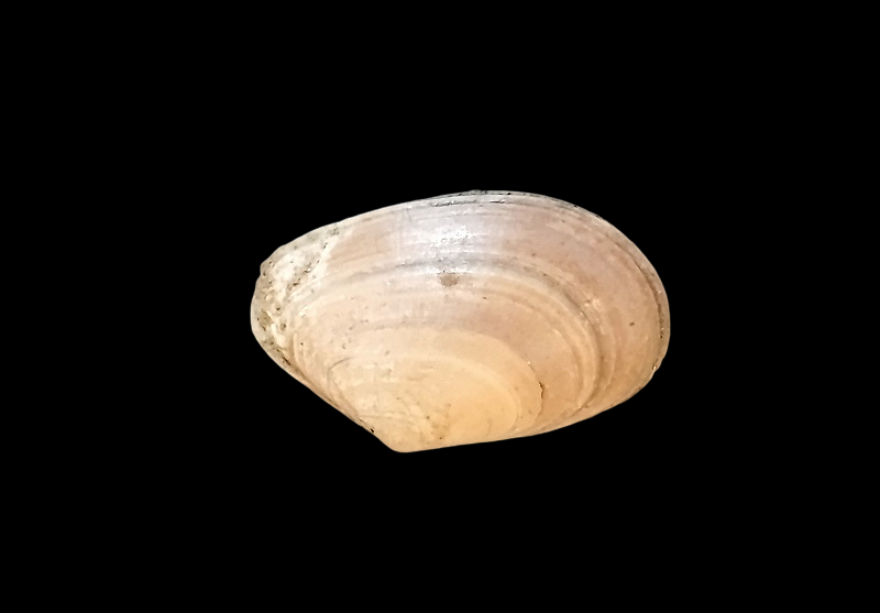 IMG_20260818_115836.png.a3bb2509de8050852bf90c9939eadf8f.png
