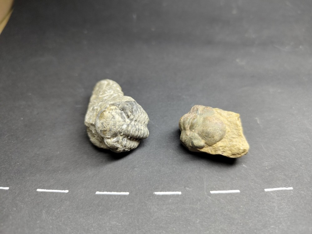 d.thumb.jpg.2a7091c9d72d64359cd87ee772a97c50.jpg